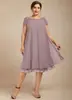 Vestido de Chifón con Cremallera para Mujer Tallas Grandes Nuevo Transfronterizo Europeo y Americano 2026 Vestido para Boda Banquete Fiesta