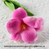 Tulipán Simulado Sensación Hidratante Flip-Up PU Tulipán Boda Hogar Arreglo Floral Transfronterizo Flor Falsa Flor Artificial