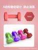 Mancuernas Sólidas de Hierro Fundido Recubiertas de Plástico para Mujeres 2 kg Ejercicio de Brazos Fitness en Casa Equipo Deportivo Mancuerna para Casa Yoga