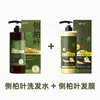 Champú Popular de Hoja de Platycladus de Douyin, No Anticaída, Crecimiento del Cabello, Control de Grasa, Voluminoso, Anticaspa Mascarilla Capilar Herbal Mayoreo