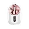 Novo Produto Vaporizador Facial Temperatura Fria e Quente Spray Duplo Doméstico Limpeza Facial Salão de Beleza Borrifador Spray Térmico Vaporizador Facial Suplementador de Água