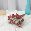 Gipsófila Rosa Ramo Seco Real de Año Nuevo Flor Eterna Decoración de Oficina Accesorios para el Hogar Estilo Ins Escandinavo