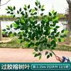 Simulación ramificación enverdecimiento hojas de árbol falso decoración ingeniería jardín pegamento árbol grande hojas de baniano paisajismo accesorios para actuación