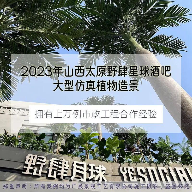 详情抬头.jpg