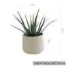 Planta artificial de aloe simulada nórdica, orquídea tigre falsa, suculentas tropicales, decoración para sala de estar interior, adornos para escaparates