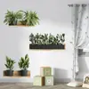 Adesivos de Parede Autoadesivos Criativos 3D de Planta Verde Vasos Sala de Estar Estante Layout Adesivos Decorativos BR0419C