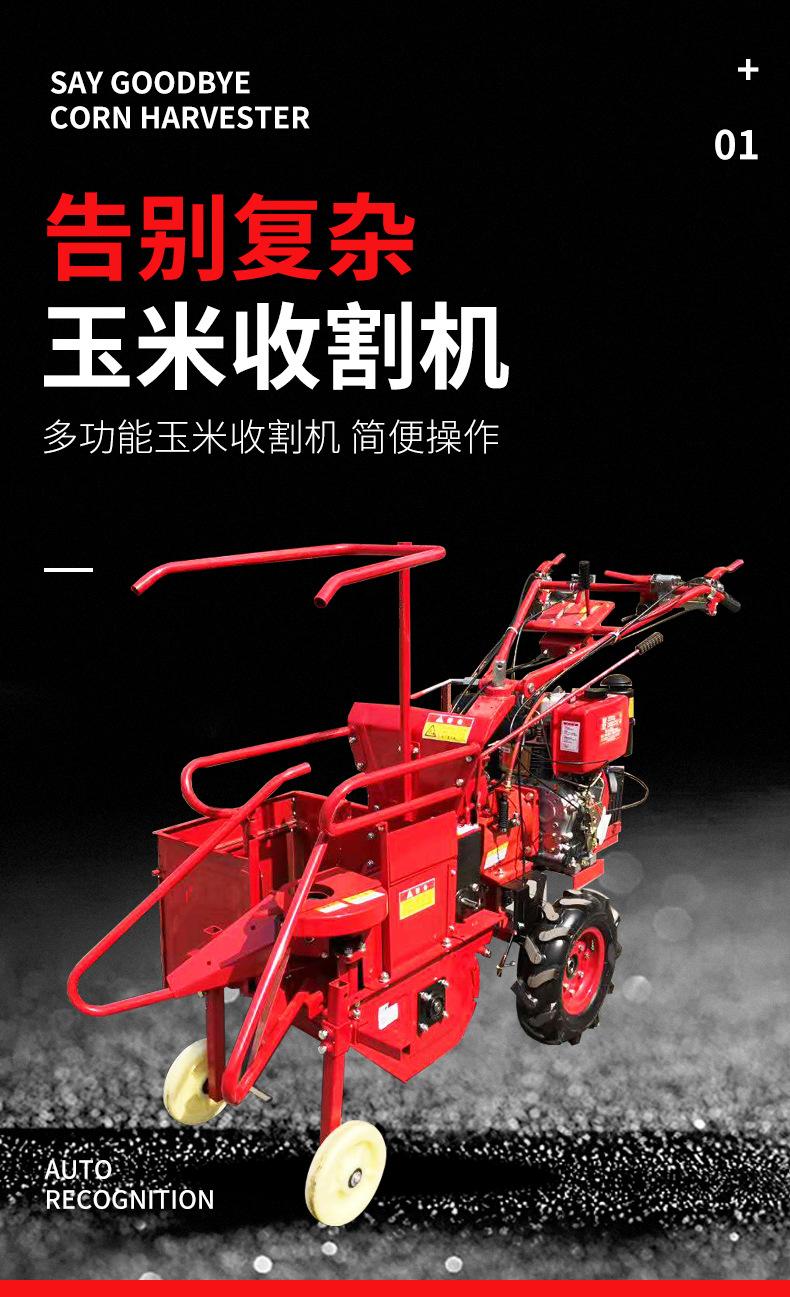 玉米4_01_01