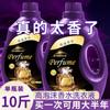 Detergente para Roupa Perfume Francês 5kg Fragrância Duradoura Limpeza Profunda Remoção de Manchas Detergente para Roupa Lote Atacado Lavanda