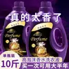 Líquido para Lavar Roupa Perfume Francês 10kg Fragrância Duradoura Limpeza Profunda Remoção de Manchas Líquido para Lavar Roupa Atacado Lavanda