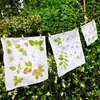 Kit de Material DIY Artesanal para Prensagem e Tingimento de Flores Flores Secas Ferramentas de Impressão para Crianças do Jardim de Infância Conjunto Tie-dye