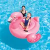 Original Auténtico Intex Pequeño Flamenco Montable Animal Inflable Montable Juego Acuático Juguete para Niños 57558