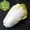 Juguete de Berenjena Grande Modelo de Fruta Vegetal Falsa Biónica Arreglo de Escena Adorno de Cocina Accesorio de Fotografía Vegetal de Imitación