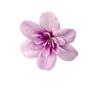 High-end simulação orquídea mobília cabeça de orquídea com mão presente sala de estar sala de jantar decoração de flores falsas diy adereços de fotografia FLORAL