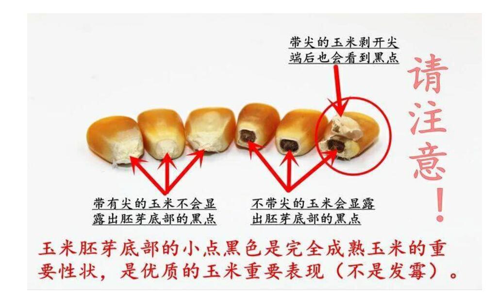 微信图片_20210429110125