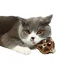Bola de Catnip Bola Exquisita Brinquedo de Catnip Polygonum Knivelum Vara para Provocar Gatos Vara para Limpeza dos Dentes Molares Resistente à Mordida Suprimentos para Filhotes