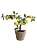 Ramas frutales de limonero, plantas en maceta con fruta fresca, flores artificiales para sala de estar, mueble de TV, mesa de comedor, adornos decorativos