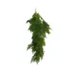 Simulação Planta Verde Parede Pendurada Orquídea Pendurada Planta Verde Samambaia Parede Tubo Teto Decoração Folha de Samambaia Rattan