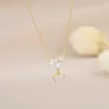 Banho de ouro real zircônia incrustada corrente clavícula temperamento feminino design de nicho franja estrela colar moda Coringa colar