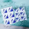 Bolsa de Hielo Autoabsorbente, Conservación y Refrigeración de Alimentos Reutilizable Especial para Llevar Bolsa de Hielo Desechable sin Agua Bolsa de Hielo