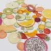 Especímenes texturizados de frutas y verduras Okra Arándano/Pepino Tomate Pequeño Kumquat Rodaja de Fresa Materiales Hechos a Mano DIY