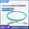 OM 30000 Mega Latiguillo de Fibra Multimodo LC-SC Mononúcleo Acorazado Latiguillo Protector Solar Impermeable Mordedura de Rata 3 m 10 m