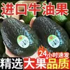 Abacate Importado Peruano Fruta Fresca Sazonal Caixa Fechada Frete Grátis Grande Maduro Pronto Para Comer Suplemento Alimentar Infantil 10
