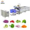 Máquina especial de limpieza de ensalada de verduras línea de producción prefabricada de limpieza de hojas deshidratación