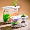 Acuario para Peces Sala de Estar Acuario Casero de Plástico Transparente Tanque para Pez Betta Micro Paisajismo Acuario Ecológico Paisajismo de Mesa Tanque para Tortugas