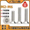 Tornillo de Acero Niquelado con Cabeza Torx Avellanada con Pasador Grado 10.9 Ranura Torx Cabeza Plana Antimanipulación Antirrobo Tornillo M2M3M4M5