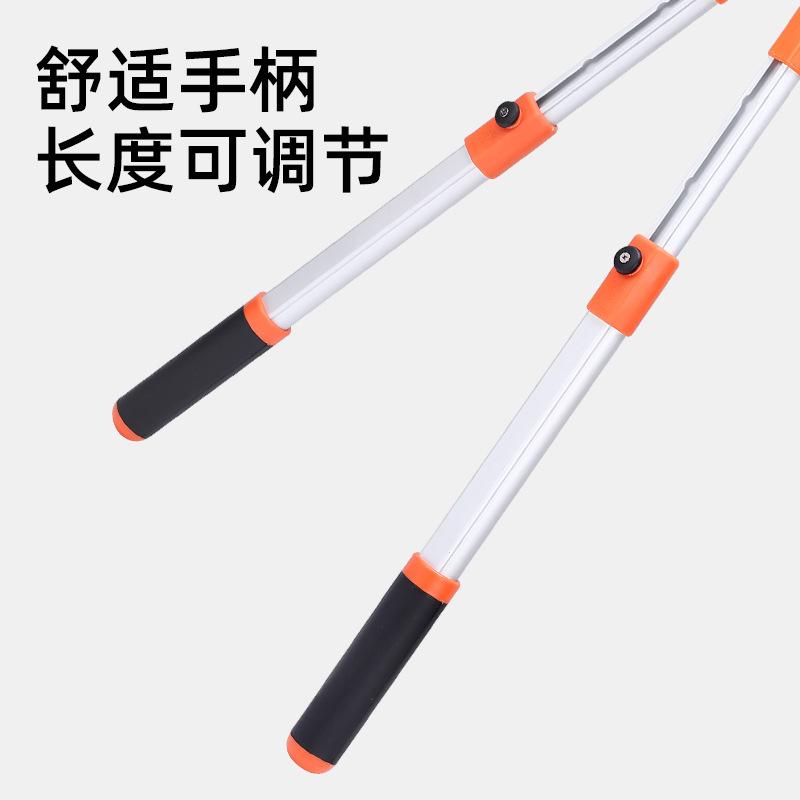 主图4