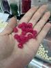 Candy cor zhi flor 10mm rosa flor sintética shell em pó em relevo contas soltas diy pulseira colar de jóias por atacado