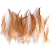 80 Tipos de Penas Naturais de Faisão, Penas Reais, Decorações Nativas Americanas, Acessórios DIY, Acessórios de Cabelo, Peças para Brinquedo de Vara para Gato