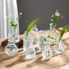 Juego de Jarrones Pequeños Decorativos de Vidrio Vintage Transparente Estilo Ins, Jarrón de Flores y Botella de Aromaterapia, El Más Vendido Transfronterizo con un Toque de Lujo