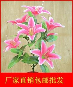 7头双层杆小百合