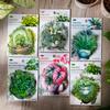 Hermosas pegatinas de día Serie Selva Tropical planta en maceta cuenta de mano DIY pegatinas decorativas 30 piezas en 6 tipos