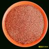 Natural Black Red Rainforest Areia Primary Stream Areia Crystal Areia Gold Areia Rocha vulcânica Granular Fish Tank Paisagem Base Areia