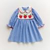 Roupa Infantil Importada Estrangeira, Vestido Color Block Bordado de Maçã para Meninas, Estilo Primavera 2026, Gola Peter Pan, Renda, Vestido Fofo para Bebê