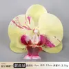 Cabeça de Flor de Orquídea Phalaenopsis Artificial Acessório de Cabelo Hanfu Material Floral Artesanal Adereço para Fotografia de Casamento Flor Falsa Flor Eterna Acessório de Flor de Seda