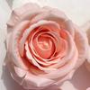 Flor artificial cabeza de flor rosa flor falsa flor de tela de lana flor rosa flor de seda pared de flores arreglo floral corona flor falsa mayoreo y menudeo