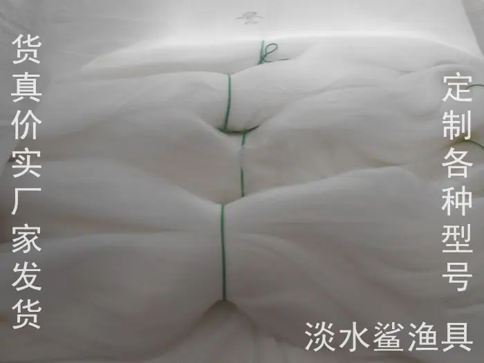照片 059