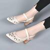 Sandalias de Tacón Alto para Mujer, Nuevos Zapatos de Tacón Medio y Grueso para Mujer de Primavera y Verano, Zapatos de Punta con Hebilla