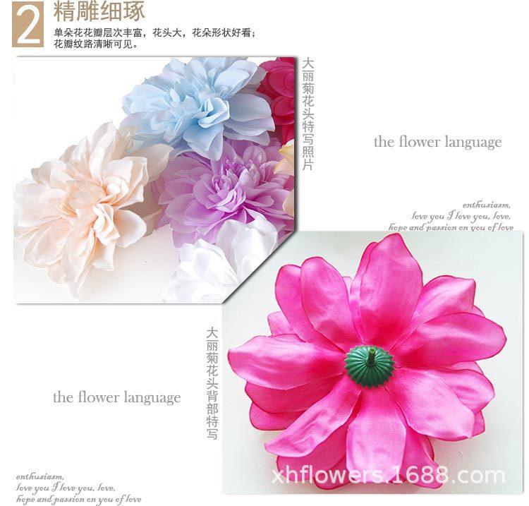 大丽菊花头_18.jpg