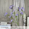 Flor de Dáfne de 3 puntas fresca pequeña floral rural hogar boda diseño decoración flor artificial modelo habitación fotografía venta al por mayor