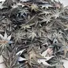Ostra Mariposa Amarilla Ostra Mariposa Negra Ostra Mariposa Blanca Corona de Pelo Hoja de Arce Tallada Nueva Pasador Joyería Estilo Antiguo Accesorios de Joyería diy