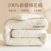 Nueva colcha clase A 100% algodón de Xinjiang colcha de algodón puro núcleo de colcha colcha de invierno colcha de primavera y otoño colcha de cuatro estaciones venta en línea artículo popular