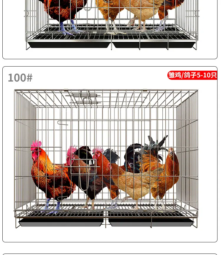 鸡笼子建模_16