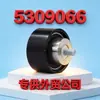 Adequado para Polia Tensor do Gerador Cummins Isf2.8L/Aoling/Monpike 5309066