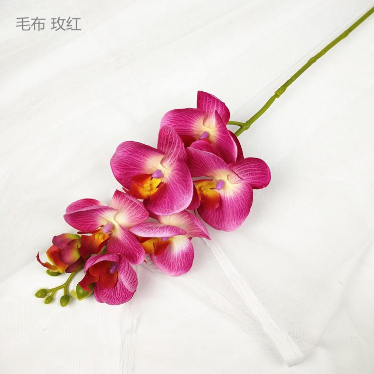 QQ图片20190320190919_副本_副本