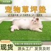 Borda de Gramado Artificial para Pet Banheiro de Cachorro Tapete Artificial Comércio Exterior Transfronteiriço Amazon Mais Vendido Tapete Sem Lavagem