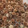 Envío Gratis 30 Piñas Flores Secas Decorativas Hecho a Mano Paquete de Materiales Creativos DIY Decoración del Hogar Ramas Secas Piñas Escama de Pez